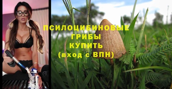марки lsd Верея