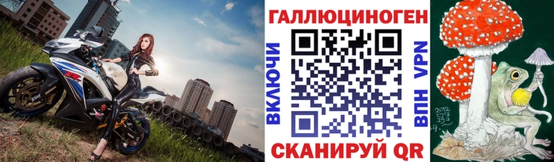 Купить где  Макаров  Галлюциногенные грибы MAGIC MUSHROOMS 